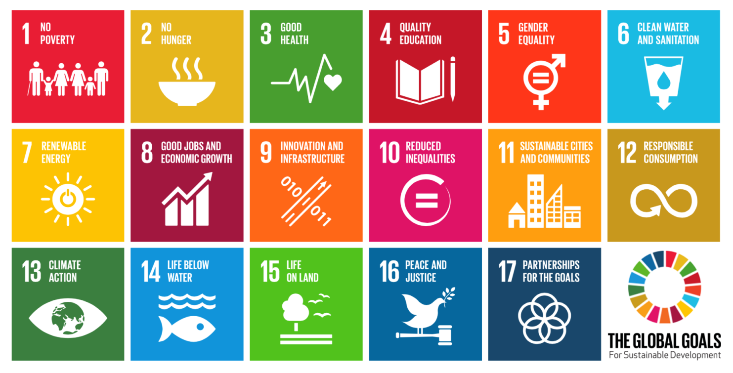 17 Sustainable Development Goals of the United Nations